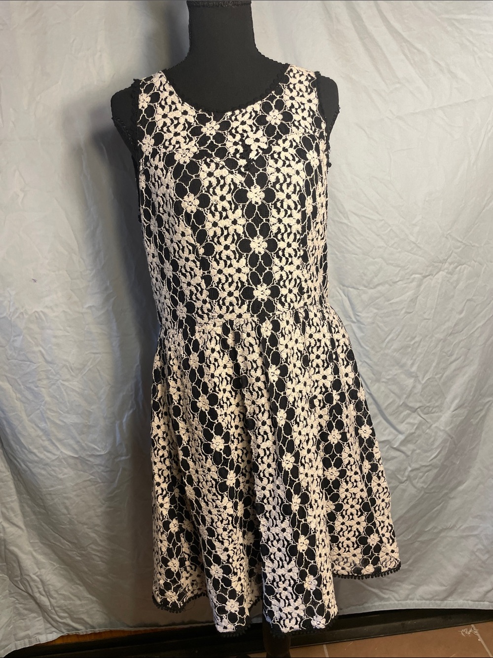 Soieblu Black & Cream Floral Lace Fit-and-Flare Dress